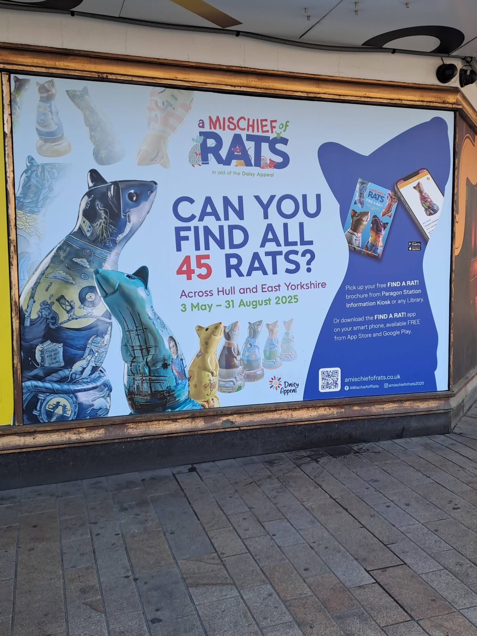Foster For Hull, A Mischief of Rats, Hull Fostering, Hull, Competition