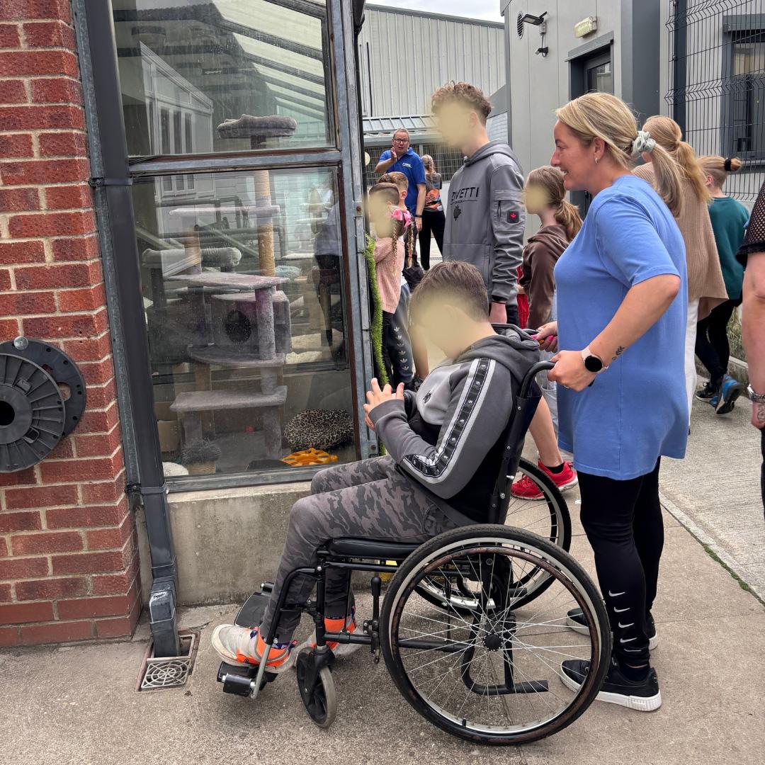 Hull Fostering Picnic, Thanks to an incredible collaboration with the RSPCA Hull & East Riding, our fostering families were welcomed into the heart of their beautiful site for a private, sun-soaked picnic surrounded by nature, kindness