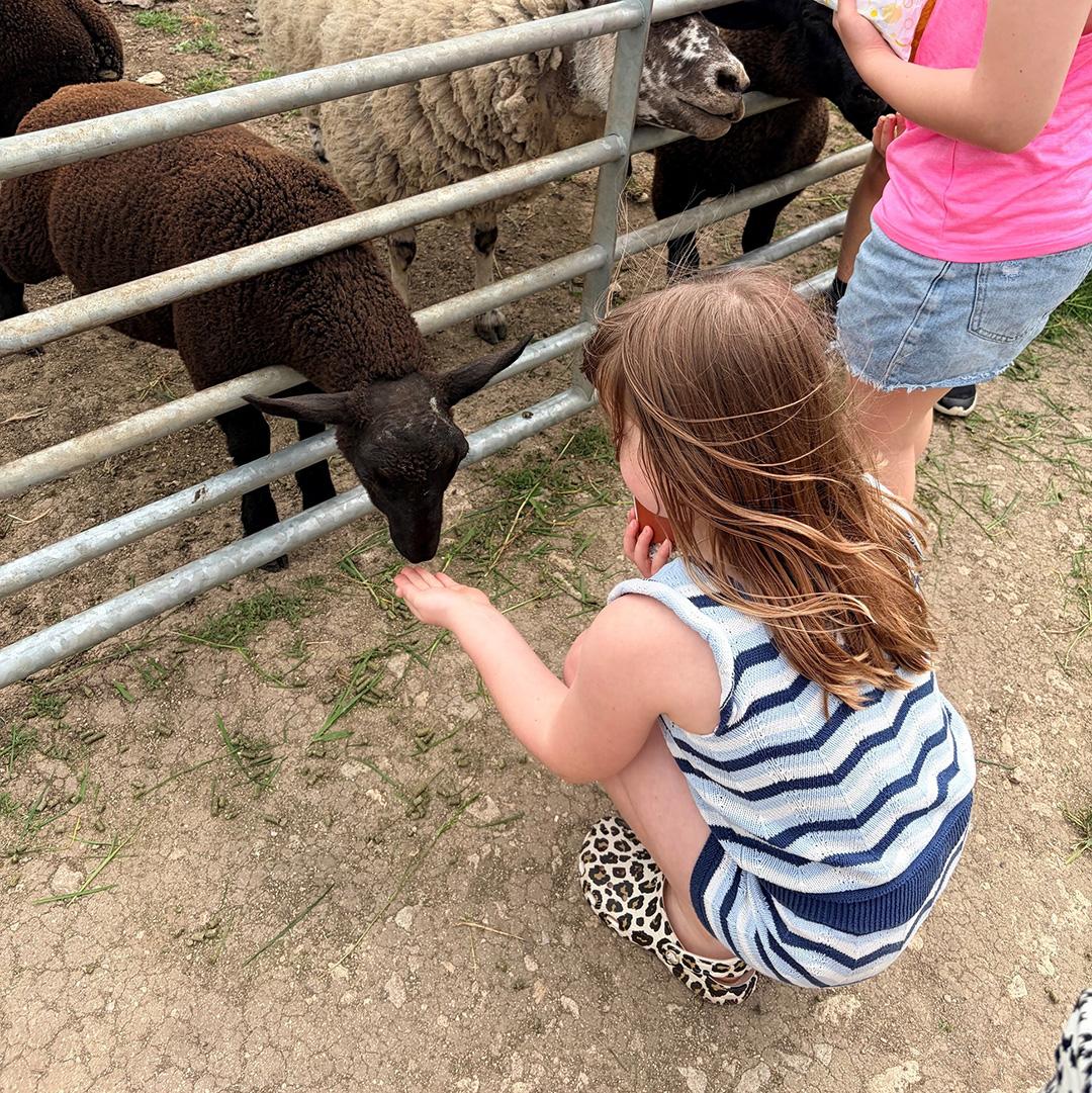 A Wonderful Day at East Hull Community Farm